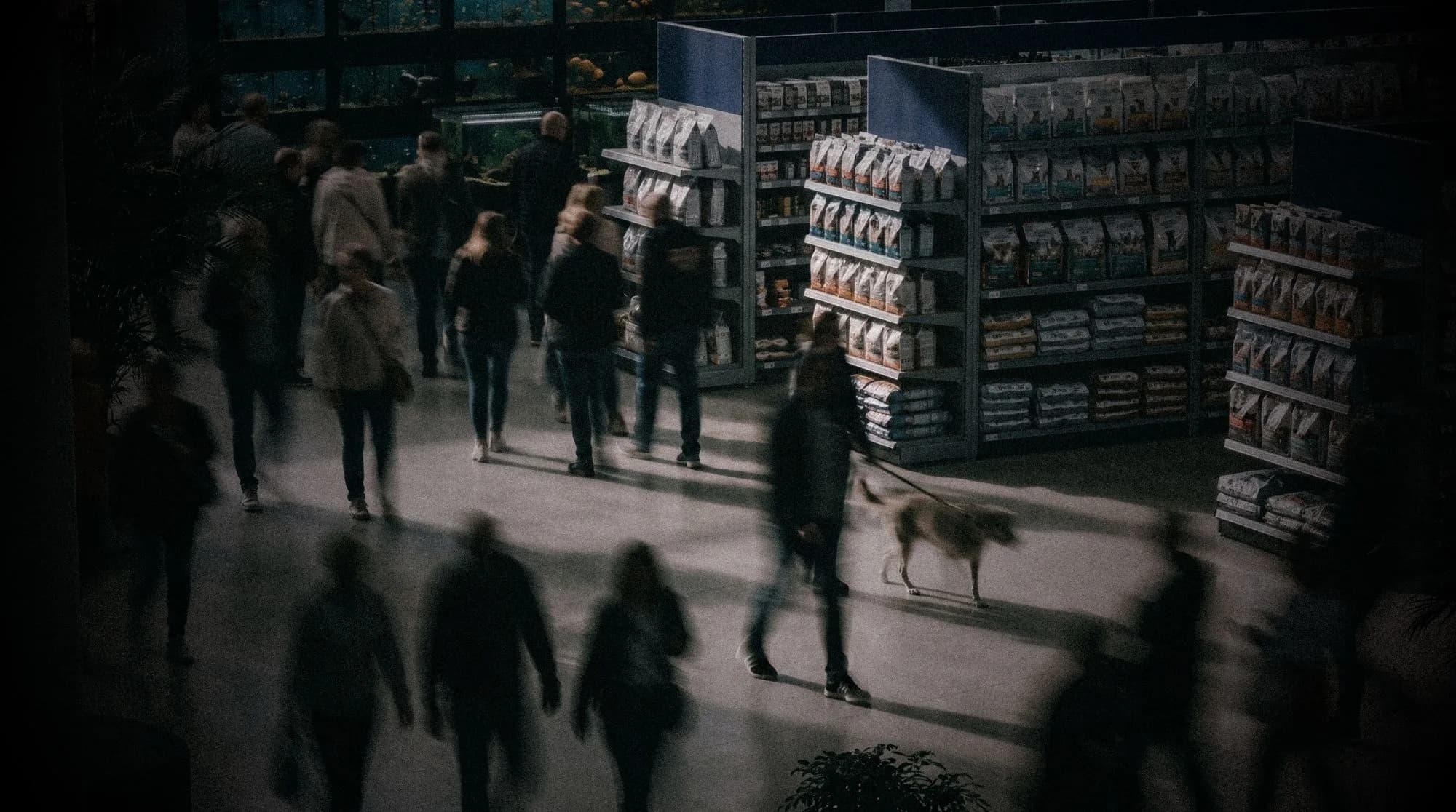 Shoppers and a dog on a leash walking past shelves of bagged pet food in a pet store