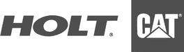 Holt Cat logo